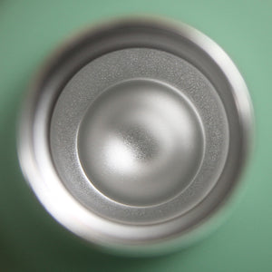 Insulated Water Bottle